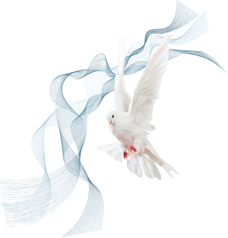 Design1